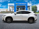 2023 Lexus NX NX 250